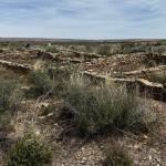 2023OTRA_698 (May 07, 2023)